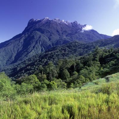 Mountain Kinabalu 