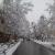 Vali asr street in snowy day