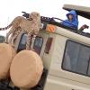 Cheater in Serengeti national Park climbing safari car